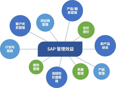 SAP外包型售后服務中的外包服務供應商管理 價值、挑戰與優化策略
